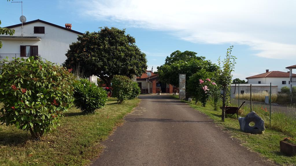 Apartment Samanta Novigrad Istria 외부 사진