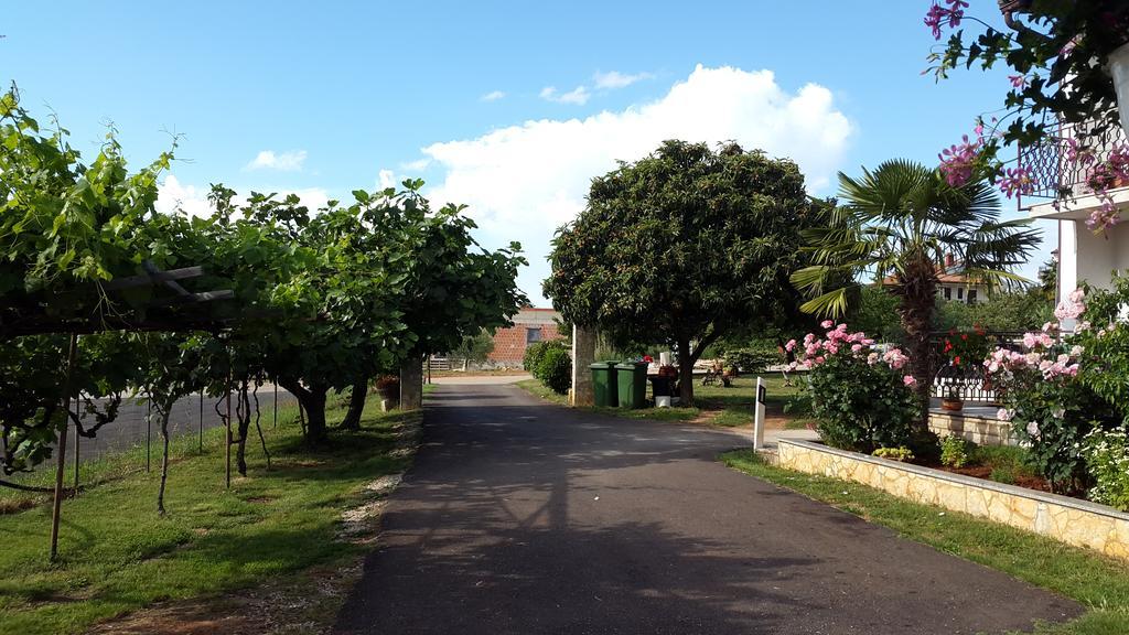 Apartment Samanta Novigrad Istria 외부 사진